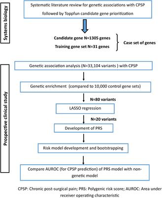 Systems Biology Guided Gene Enrichment Approaches Improve Prediction of Chronic Post-surgical Pain After Spine Fusion